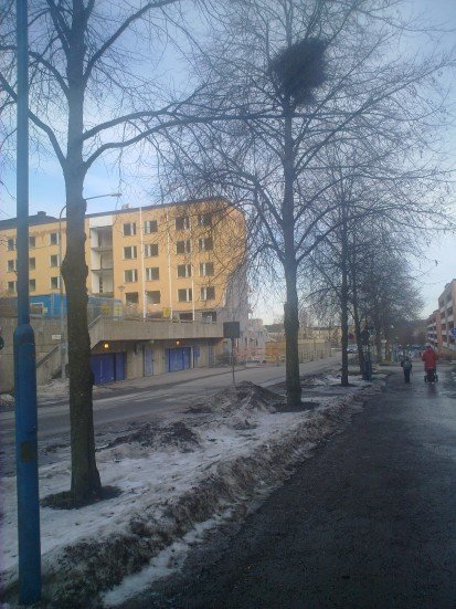 Rivning av fd stadsdelsförvaltningen 24/3 Rivning av fd stadsdelsförvaltningen 24/3