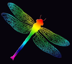 Dragonfly