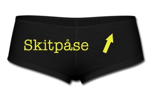 Skitpåse