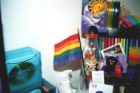 Rainbowflag